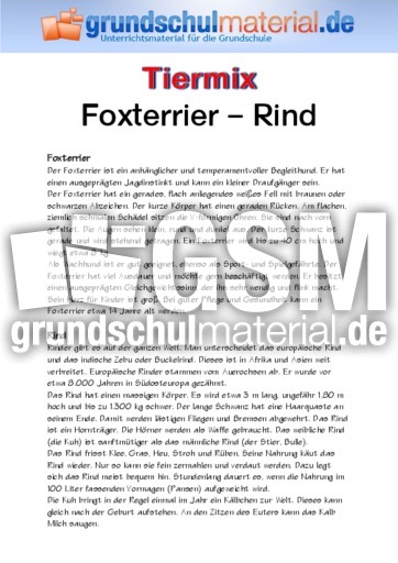 Foxterrier - Rind.pdf
